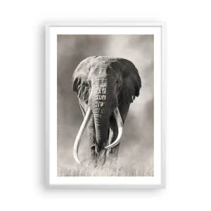 Plakat i hvid ramme - Afrikansk patriark - 50x70 cm