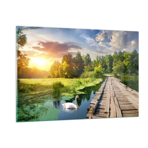 Billede på glas - Sommer, sommer overalt - 120x80 cm