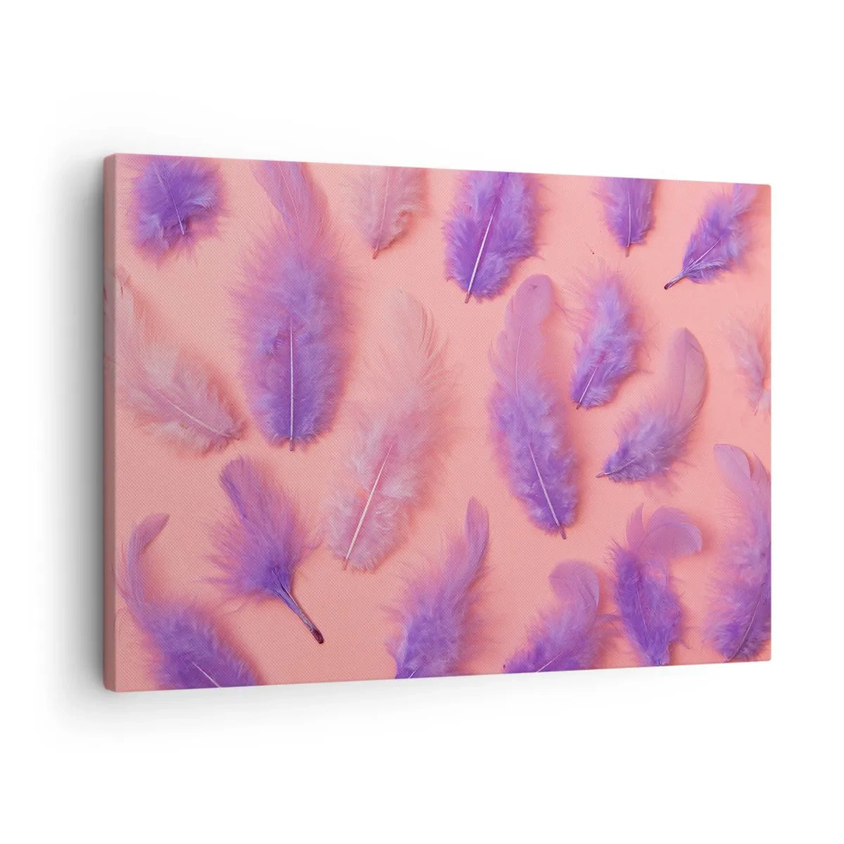 Lærredstryk - Billede på lærred - Lilla og lyserøde fjer på en pastelfarvet baggrund - 70x50cm - Lilla fugl af begær - Moderne vægdekoration til stue og soveværelse ARTTOR