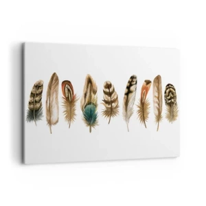 Lærredstryk - Billede på lærred - Variation med fjer - 100x70 cm