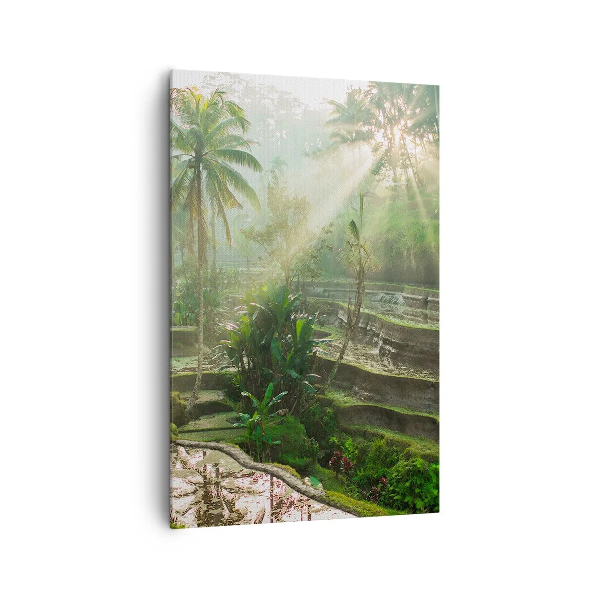 Lærredstryk - Billede på lærred - Voksende op i solen - 80x120 cm