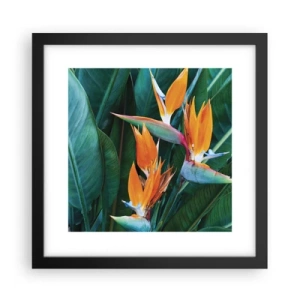 Plakat i sort ramme - Er det en blomst eller er det en fugl? - 30x30 cm