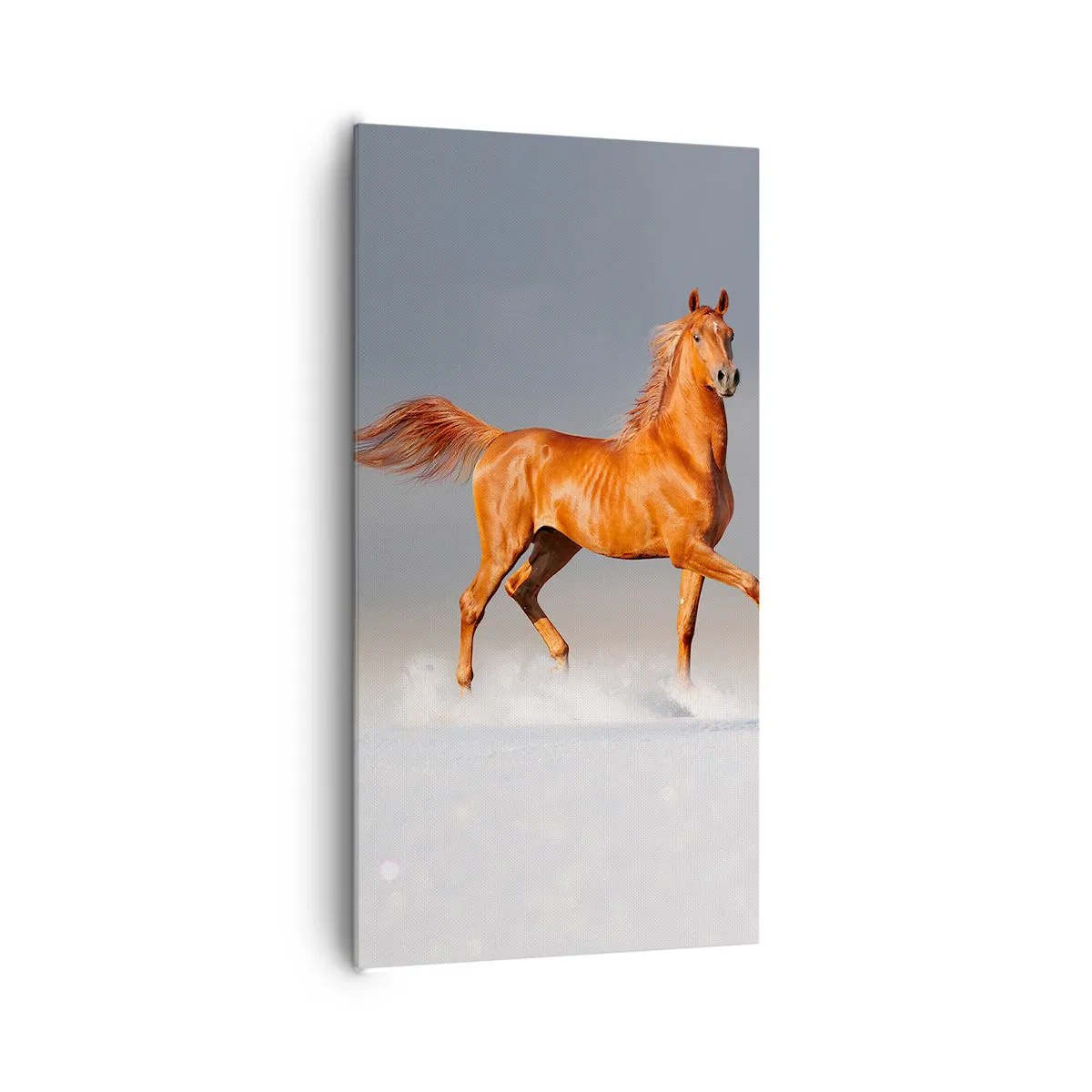 Lærredstryk - Billede på lærred - Dansende ynde - 65x120 cm