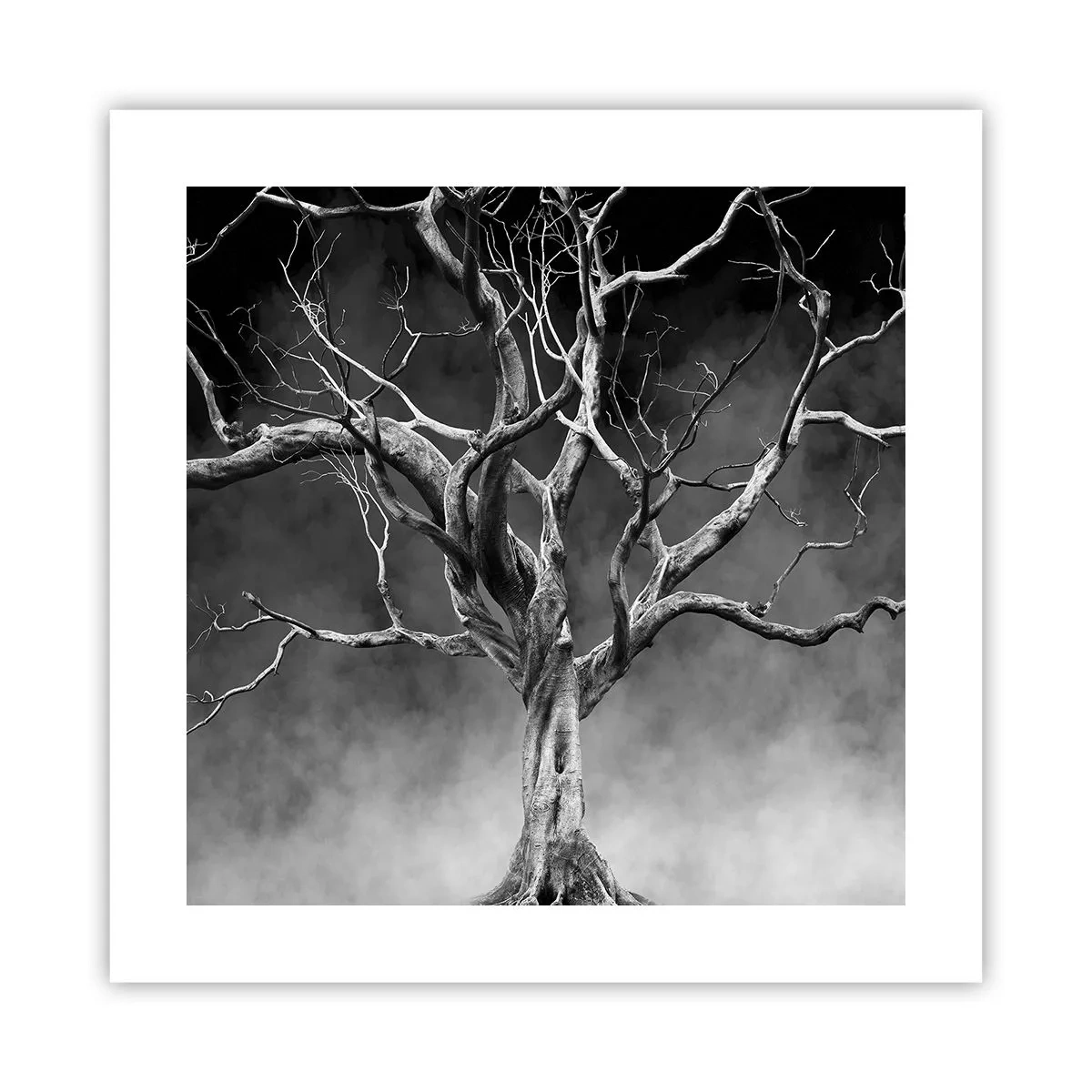 Plakat - Primær og hellig - 40x40 cm