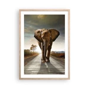 Plakat i ramme af lyst egetræ - Og slet ikke i en porcelænsbutik - 50x70 cm