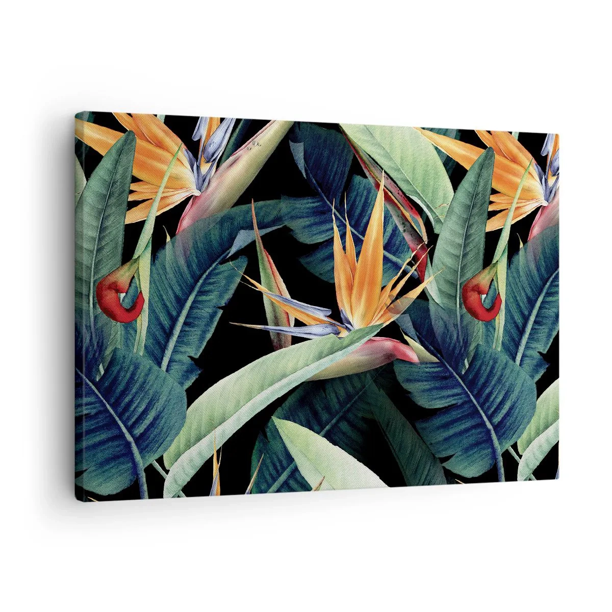 Lærredstryk - Billede på lærred - Tropiske blomster og blade på en sort baggrund - 70x50cm - Flammeblomster i troperne - Moderne vægdekoration til stue og soveværelse ARTTOR