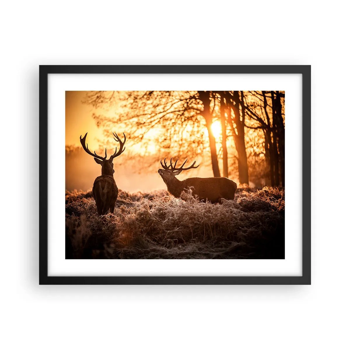 Plakat i sort ramme - En jægerdrøm - 50x40 cm