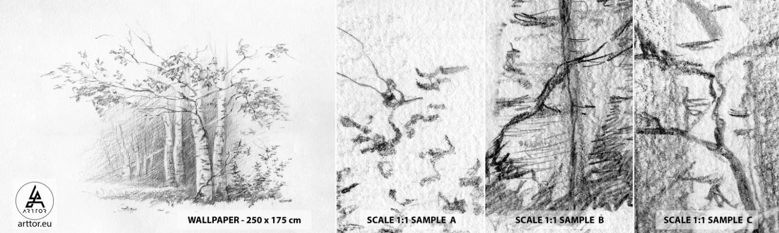 Prøve Fototapet Selvklæbende Deluxe Sticker - Lyset fra birkeskoven - Skov, Birk, Træer - 100x30 cm