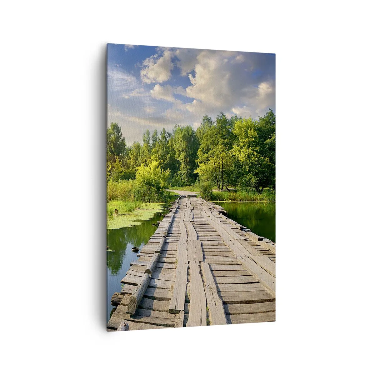 Lærredstryk - Billede på lærred - Sommer, sommer overalt - 80x120 cm