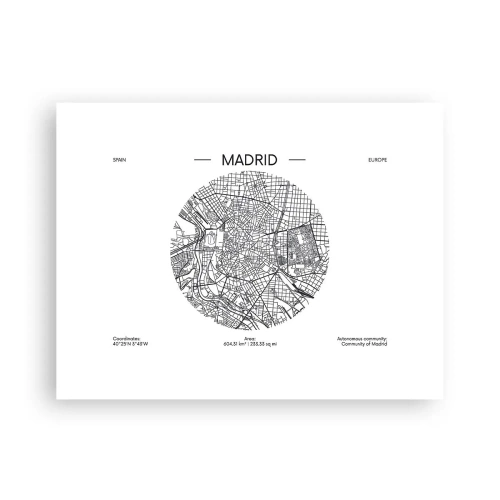 Plakat - Madrids anatomi - 40x30 cm