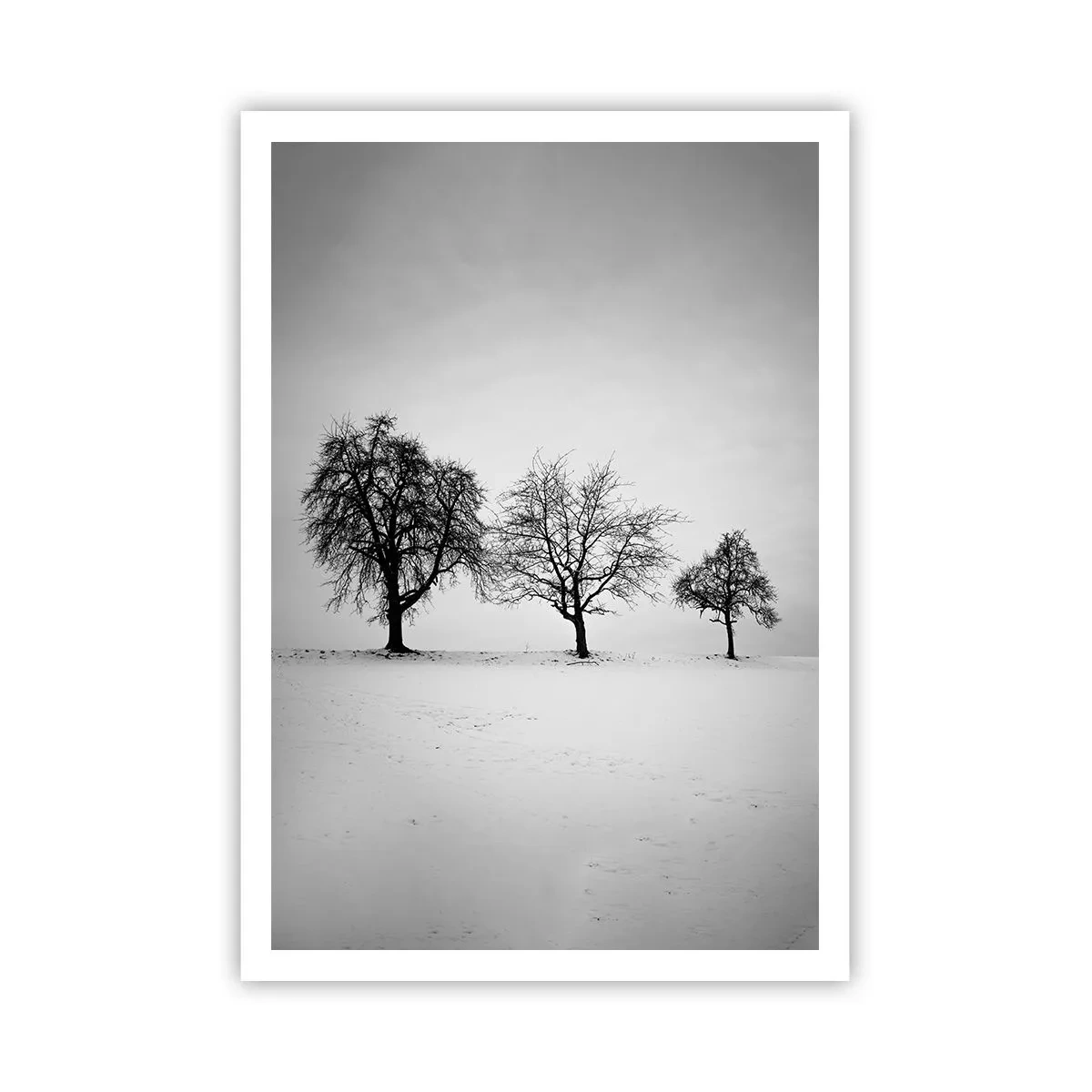 Plakat - Hvad drømmer de om? - 70x100 cm