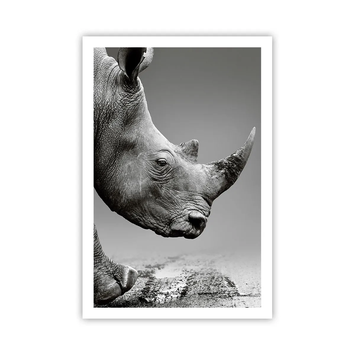 Plakat - En ustoppeli - 61x91 cm