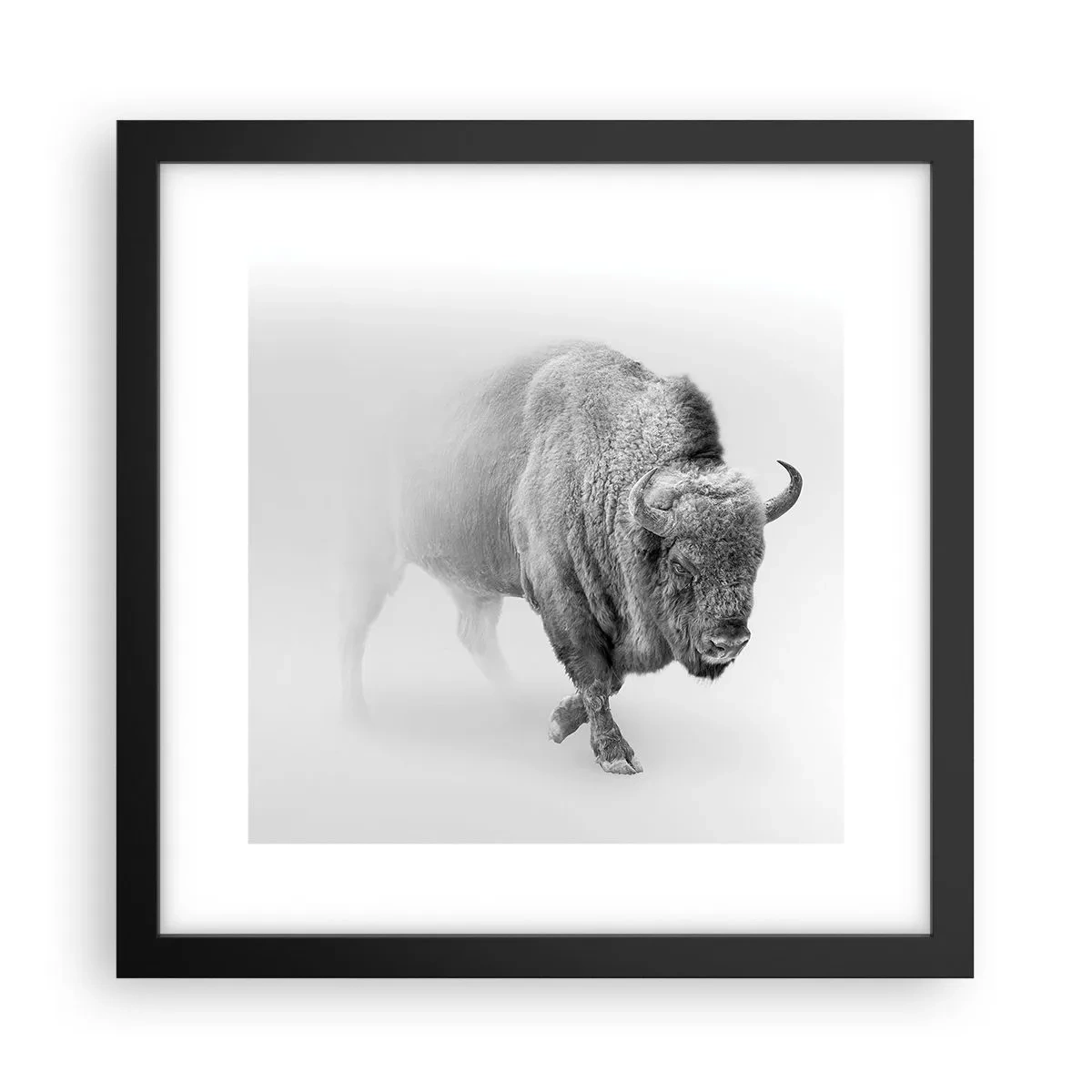 Plakat i sort ramme - Kongen af prærien - 30x30 cm