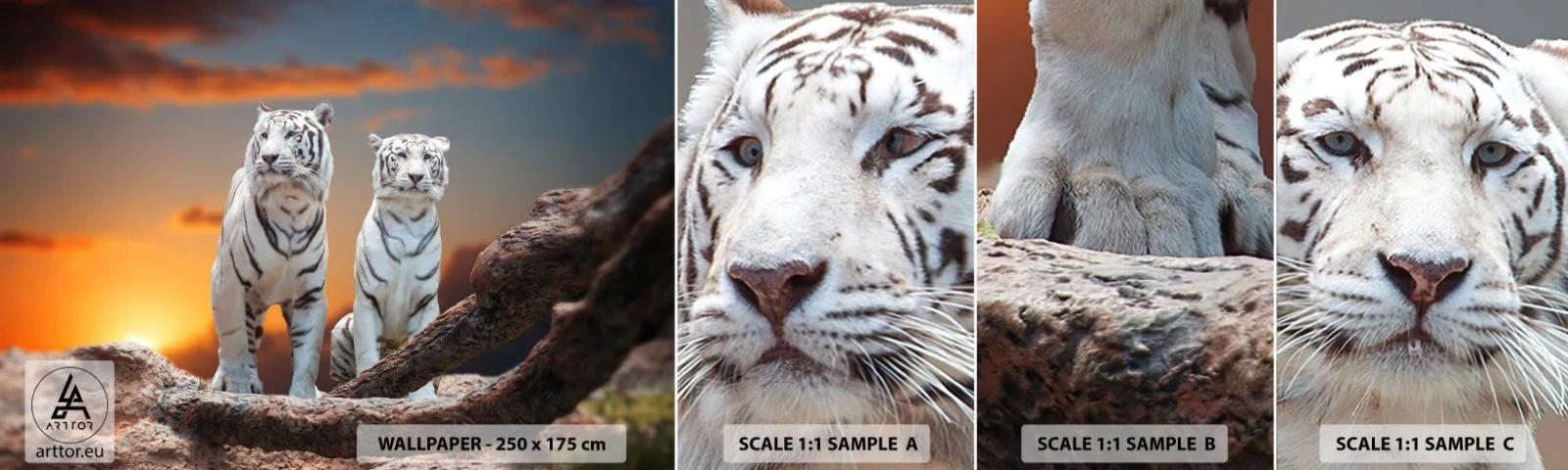 Prøve Fototapet Selvklæbende Deluxe Sticker - Ligesom i Narnia - Dyr, Tiger, Solnedgang - 100x30 cm