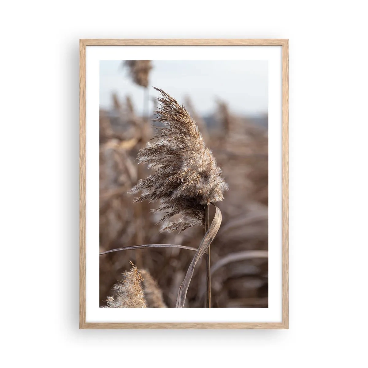 Plakat i ramme af lyst egetræ - Tid til at flyve væk med vinden - 50x70 cm