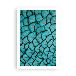 Plakat - Den store fjer-galla - 61x91 cm