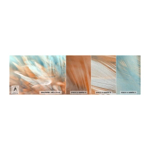 Prøve Fototapet Premium Sand - I mildhedens land - Delikat, Fjer, Minimalisme - 100x30 cm