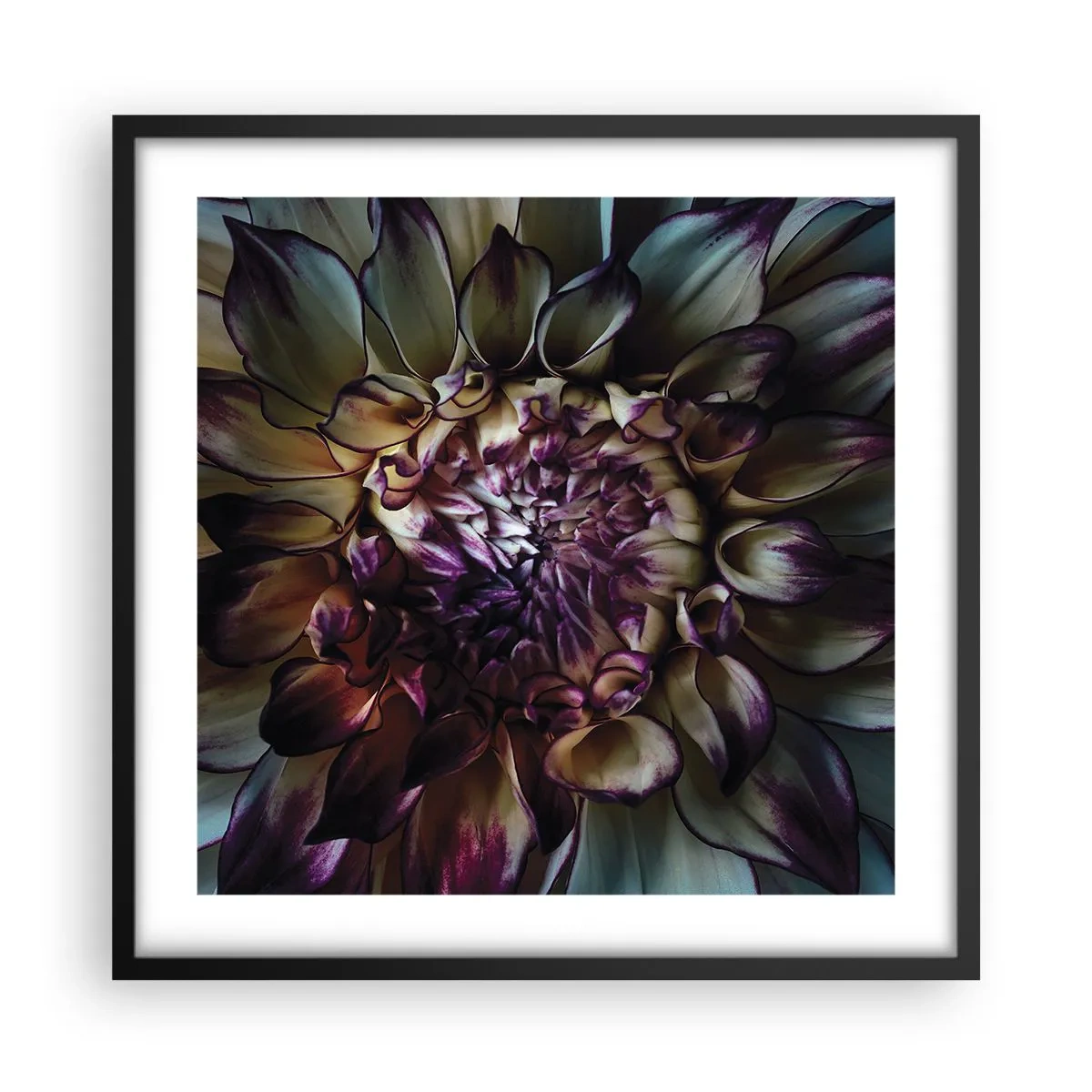 Plakat i sort ramme - Ungdommens blomstring - 50x50 cm