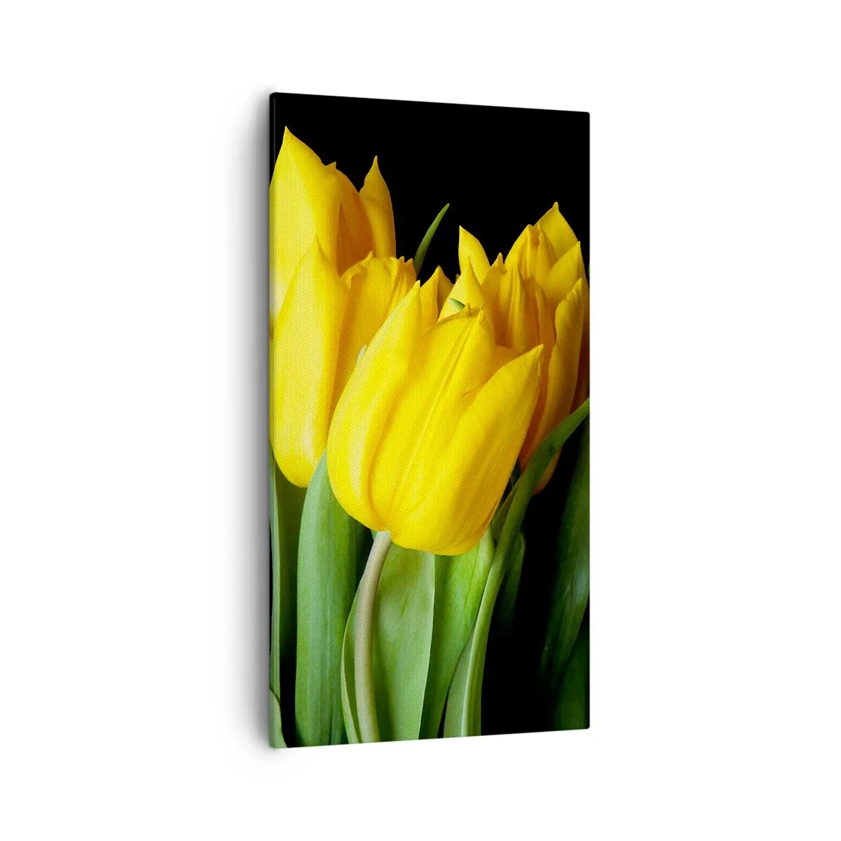 Lærredstryk - Billede på lærred - Opstå fra den rene sol - 55x100 cm