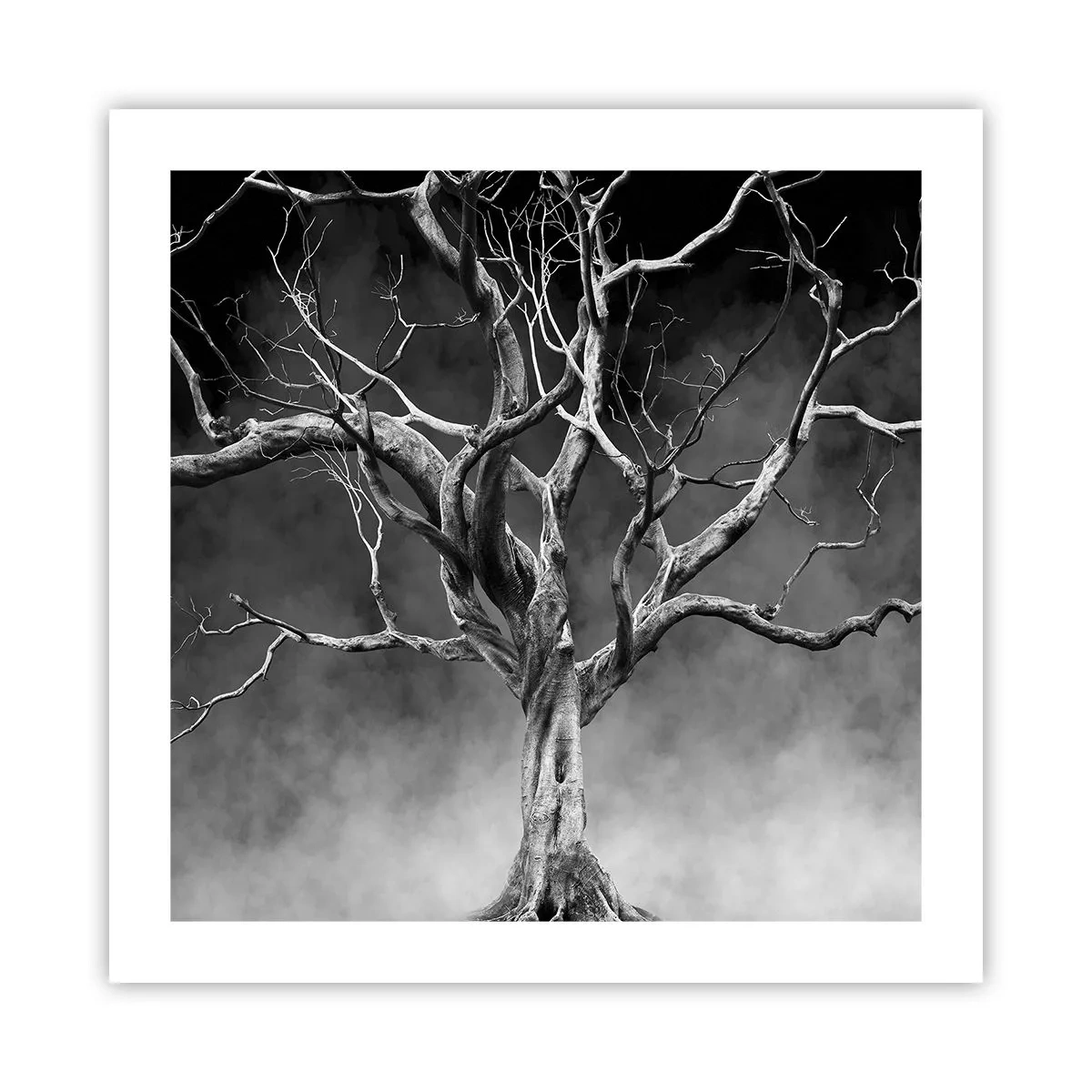 Plakat - Primær og hellig - 50x50 cm