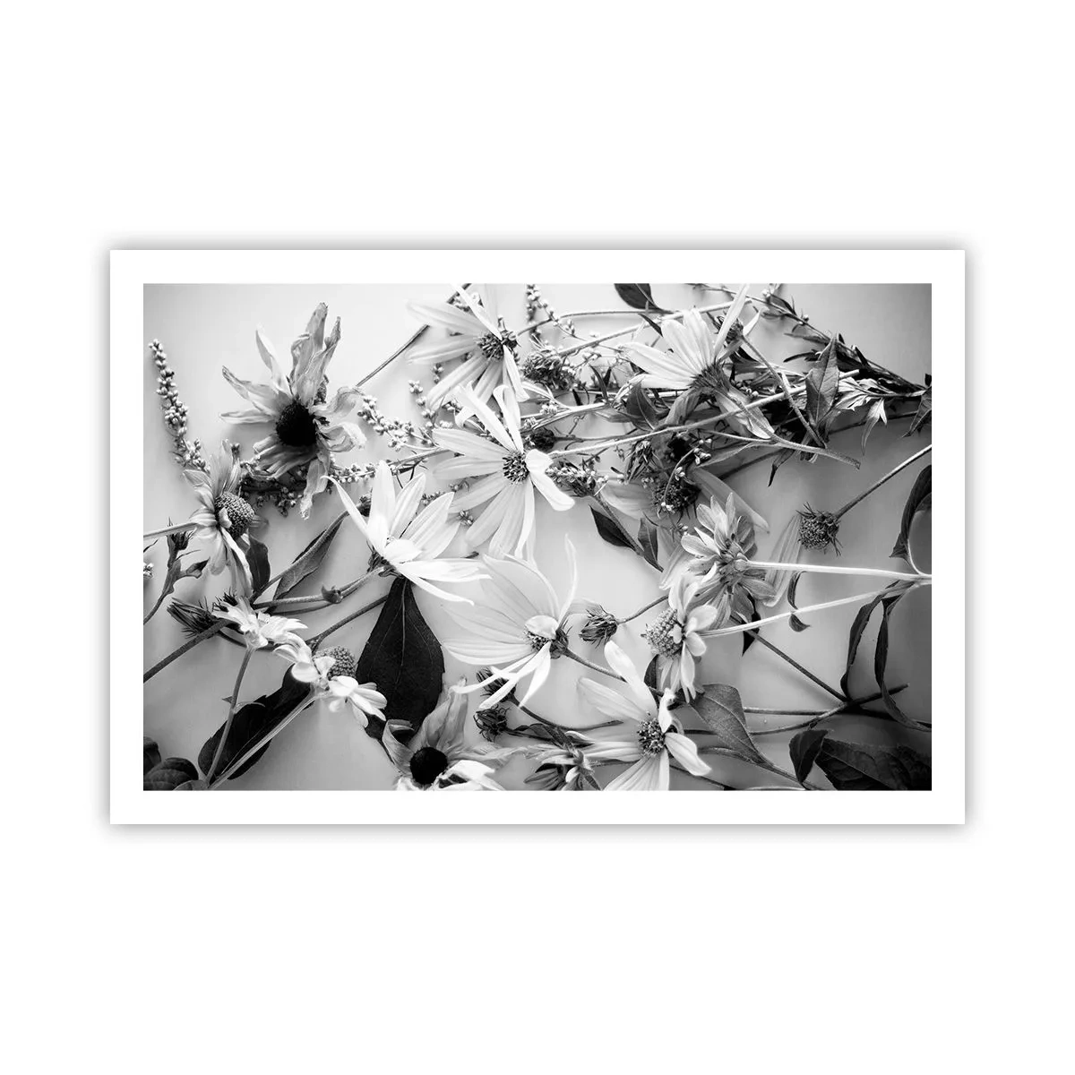 Plakat - Blomster uden buket - 91x61 cm
