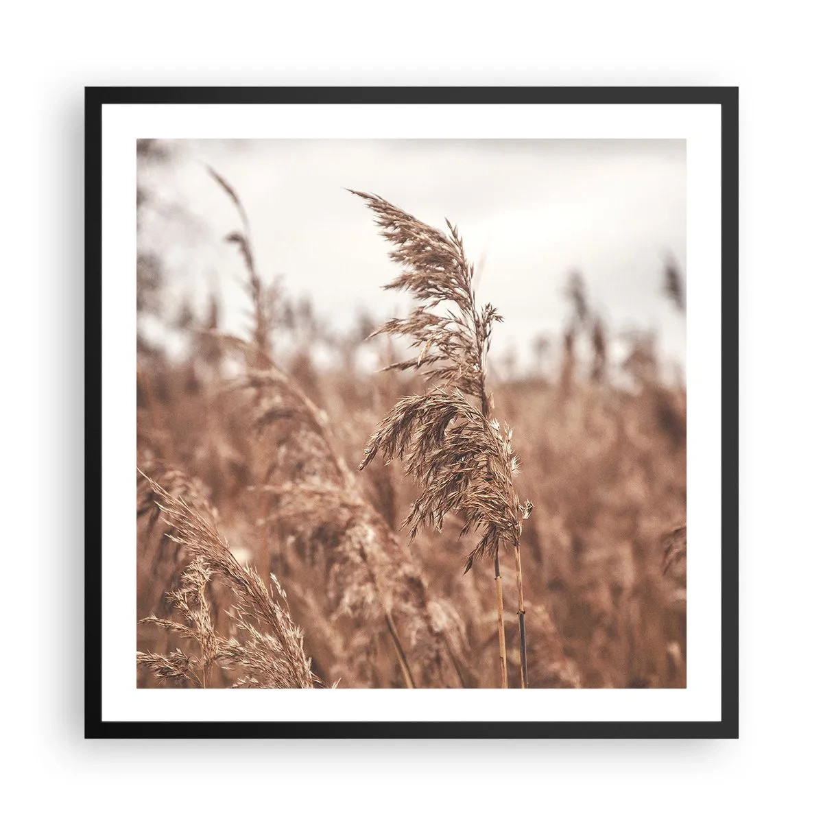 Plakat i sort ramme - Efteråret er allerede på markerne - 60x60 cm