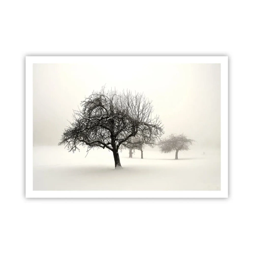 Plakat - Vintersøvn - 100x70 cm