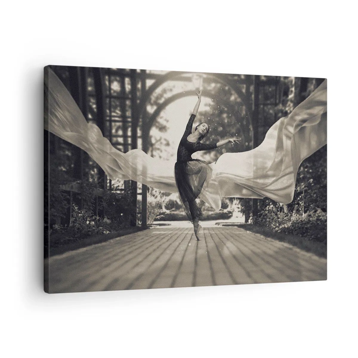 Lærredstryk - Billede på lærred - En danser i en flagrende kjole udfører et hop mod en sort og hvid havebaggrund. - 70x50cm - Dans i haven - Moderne vægdekoration til stue og soveværelse ARTTOR