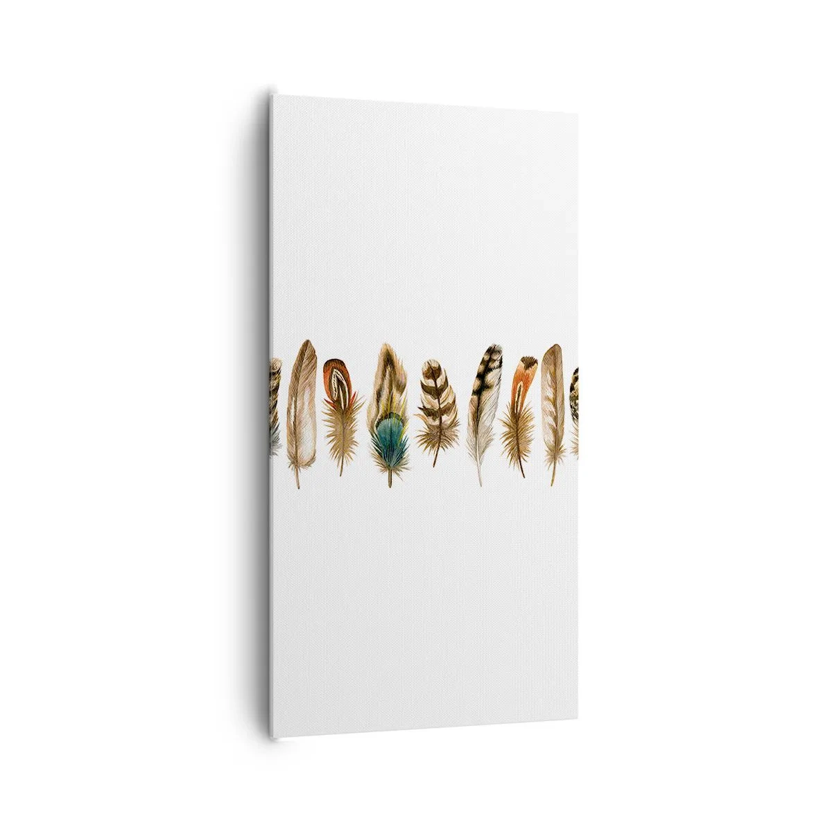 Lærredstryk - Billede på lærred - Variation med fjer - 65x120 cm