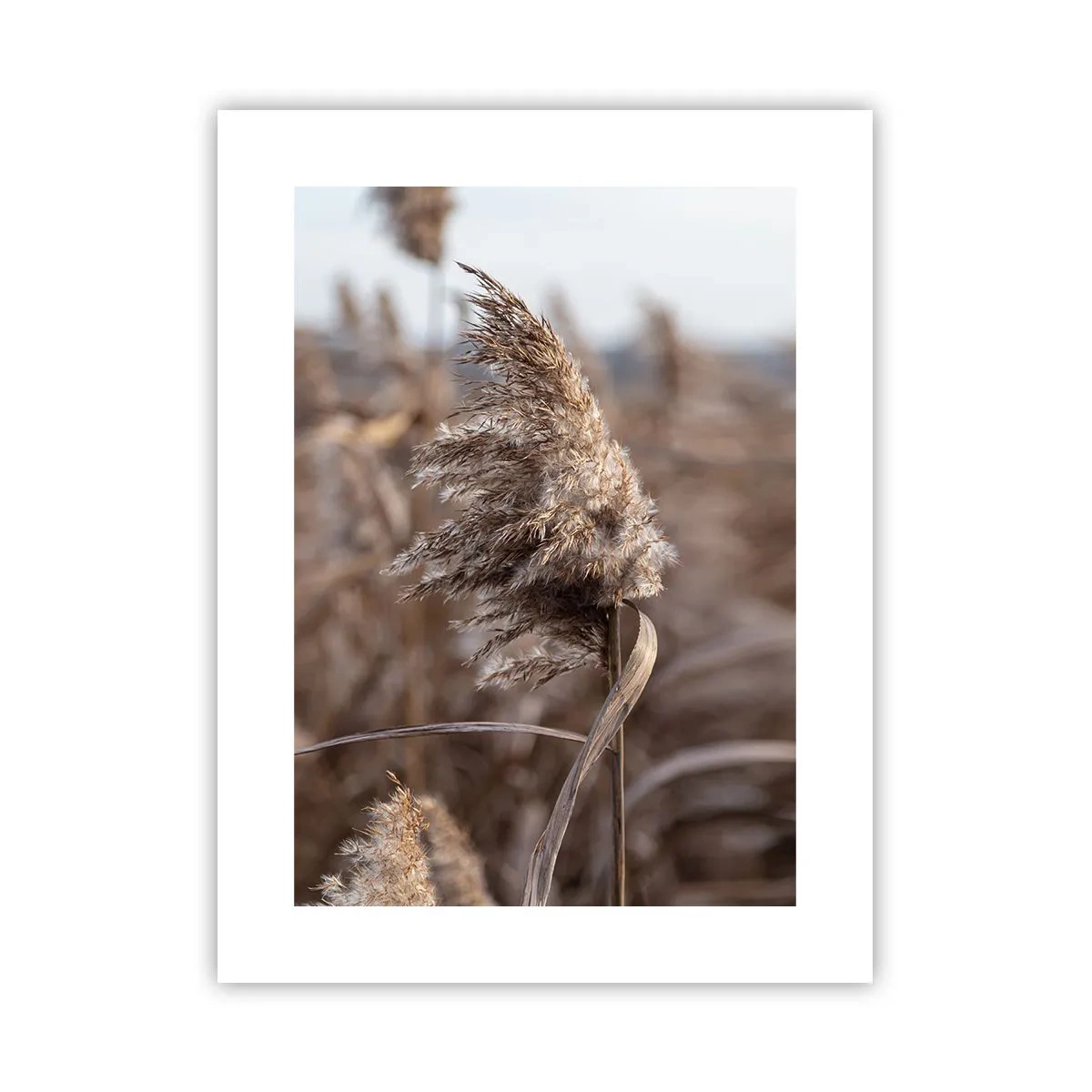 Plakat - Tid til at flyve væk med vinden - 30x40 cm