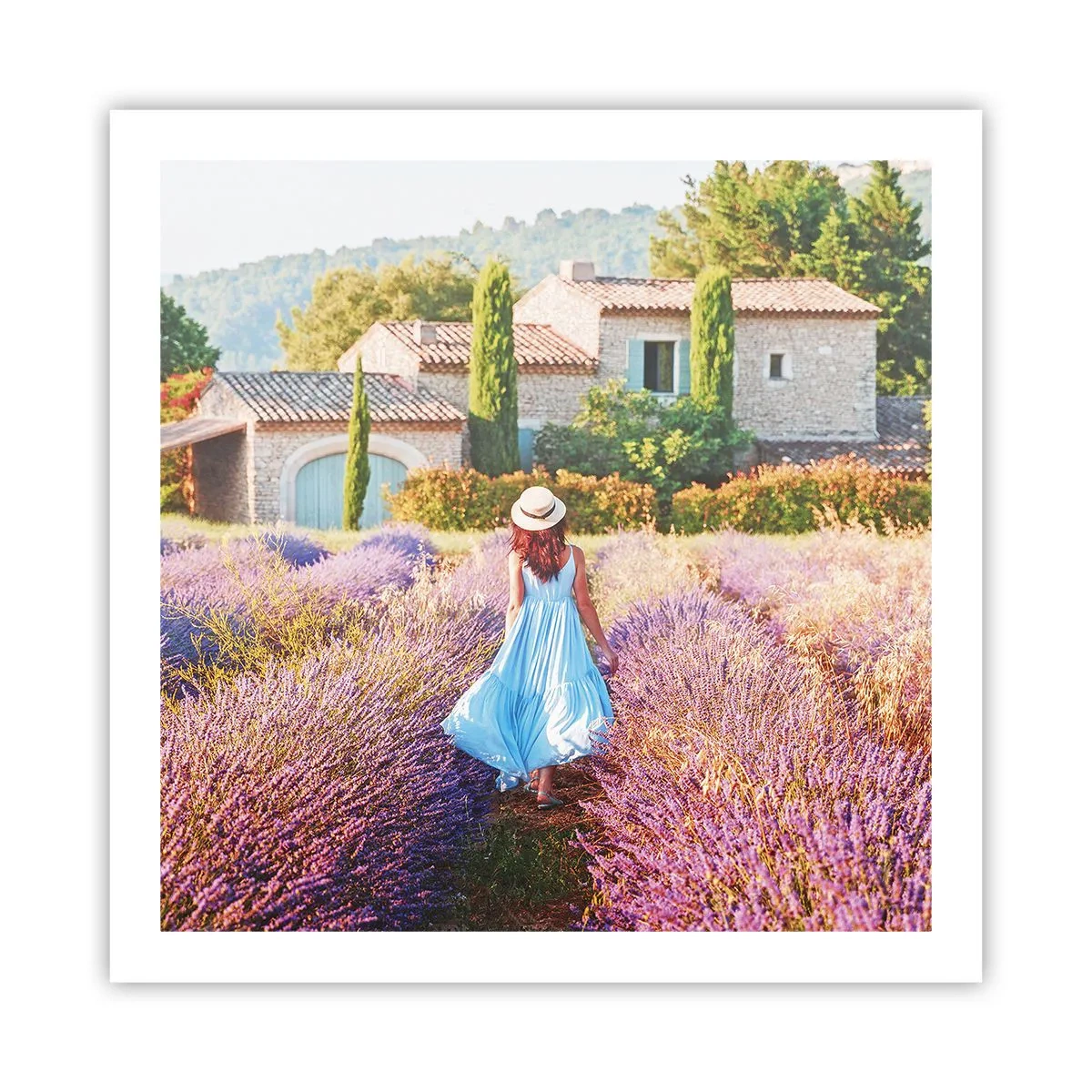 Plakat - Lavendel pige - 60x60 cm