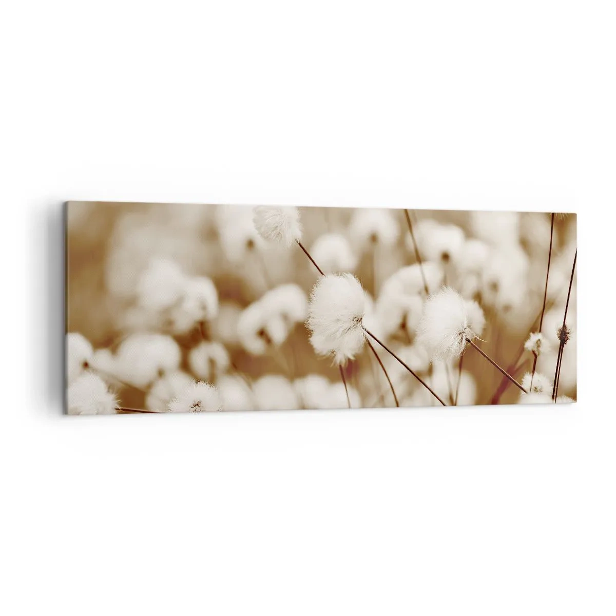 Lærredstryk - Billede på lærred - Fyldig mark - 140x50 cm