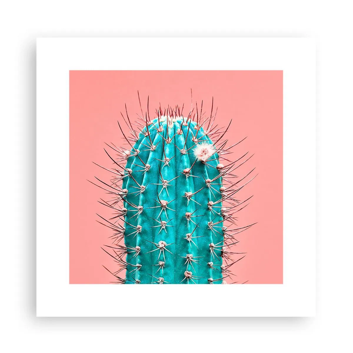 Plakat - Bare se - 30x30 cm