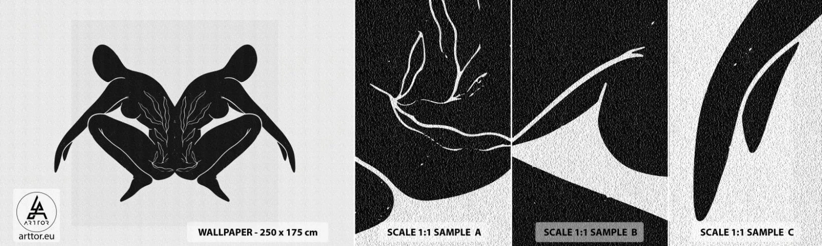 Fototapet Prøve Standard Eco - En delt sjæl - Mennesker, Minimalistisk, Tvillinger - 100x30 cm