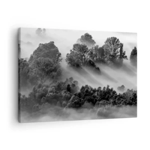 Lærredstryk - Billede på lærred - Sort-hvidt skovlandskab i morgentåge - 70x50cm - At vågne fra søvnen - Moderne vægdekoration til stue og soveværelse ARTTOR