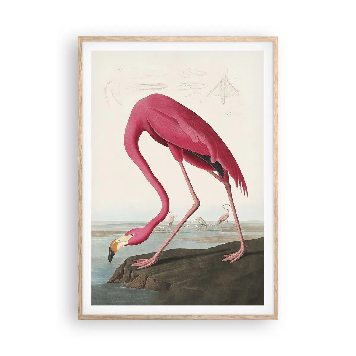 Plakat i ramme af lyst egetræ - Et forbløffende væsen - 70x100 cm