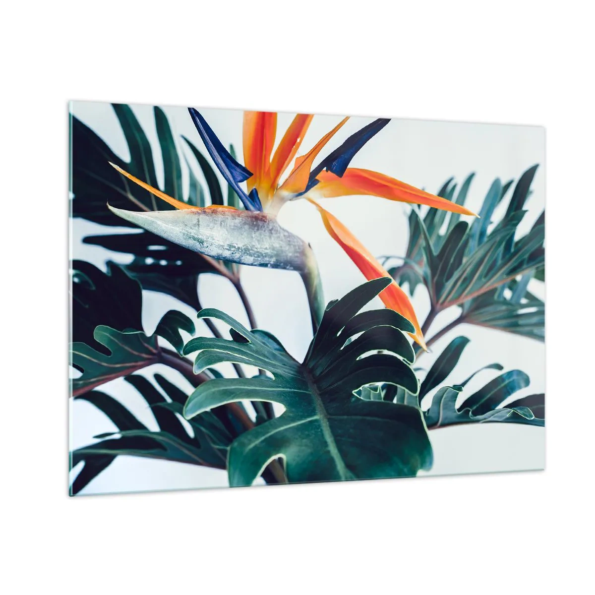 Billede på glas - Fuglebur - 100x70 cm