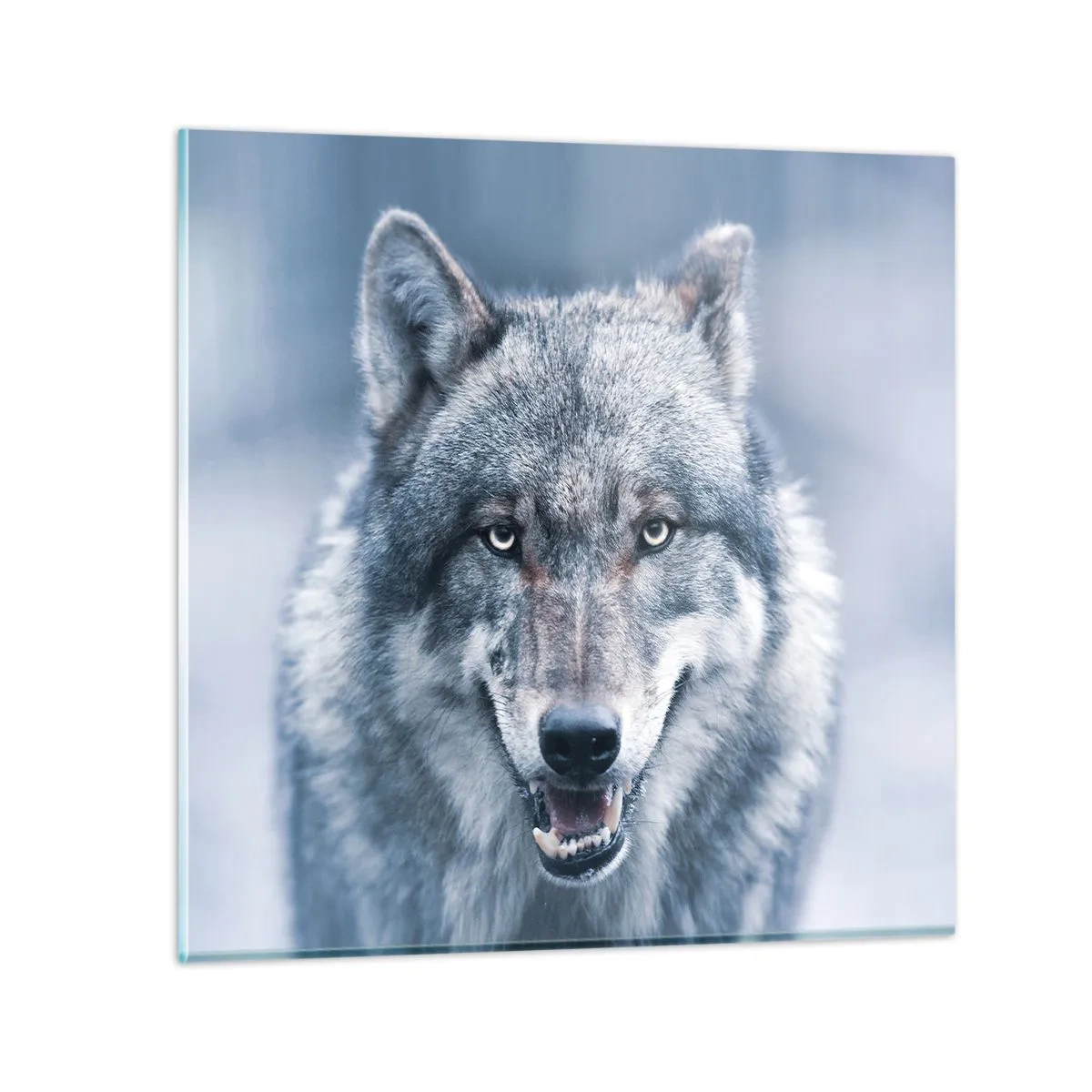 Billede på glas - Vil du tage udfordringen op? - 60x60 cm