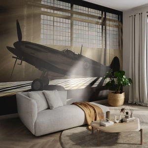 Fototapet Selvklæbende Deluxe Sticker - Resten af krigeren - Fly, Luftfartshangar, Fly - 400x280 cm