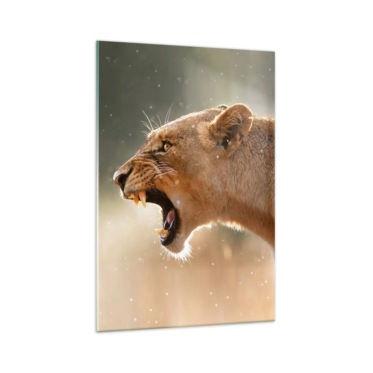 Billede på glas - Prøv ikke at lytte - 70x100 cm