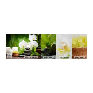 Prøve Fototapet Premium Sand - Duftende, blomstret, delikat touch - Blomster, Orkidé, Orkidé - 100x30 cm