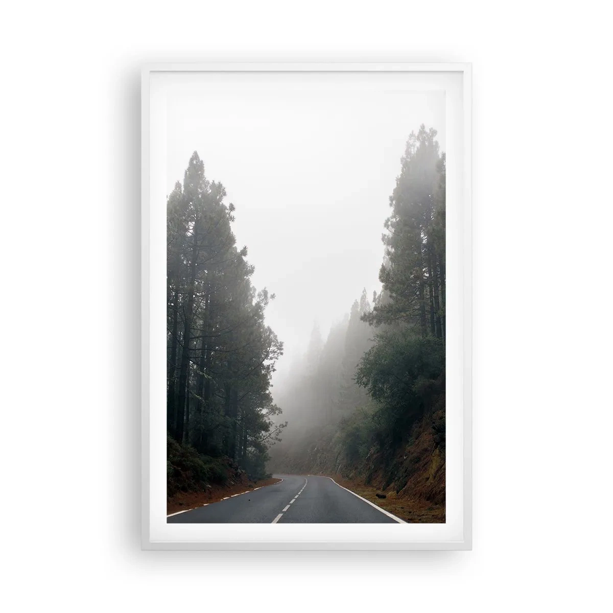 Plakat i hvid ramme - En fortælling om en magisk skov - 61x91 cm