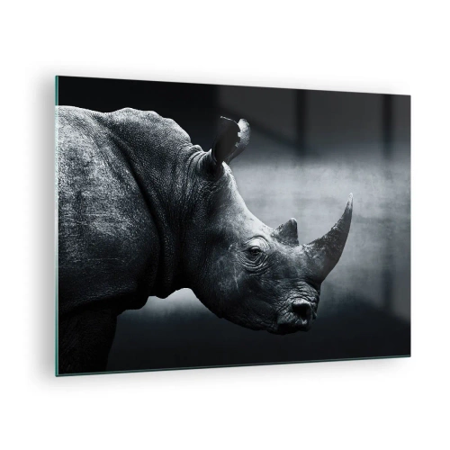 Billede på glas - Sort-hvidt billede af et næsehorn - 70x50cm - Højre profil - Moderne vægdekoration til stue og soveværelse ARTTOR