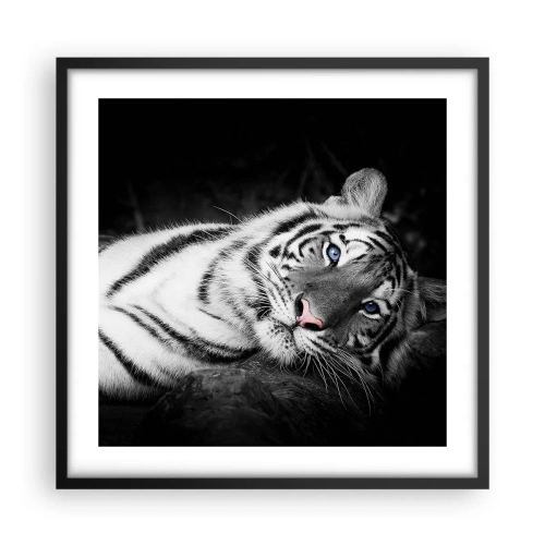 Plakat i sort ramme - Vildskab og fred - 50x50 cm