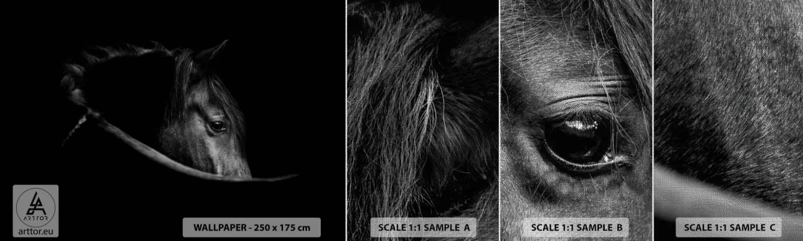 Prøve Fototapet Premium Canvas - Sort prins - Hest, Dyr, Kunstnerisk - 100x30 cm