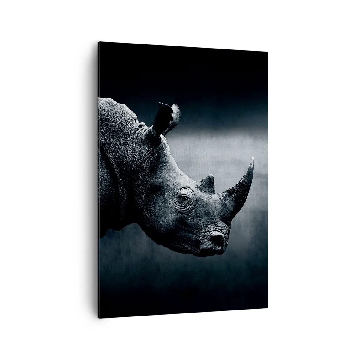 Lærredstryk - Billede på lærred - Højre profil - 70x100 cm