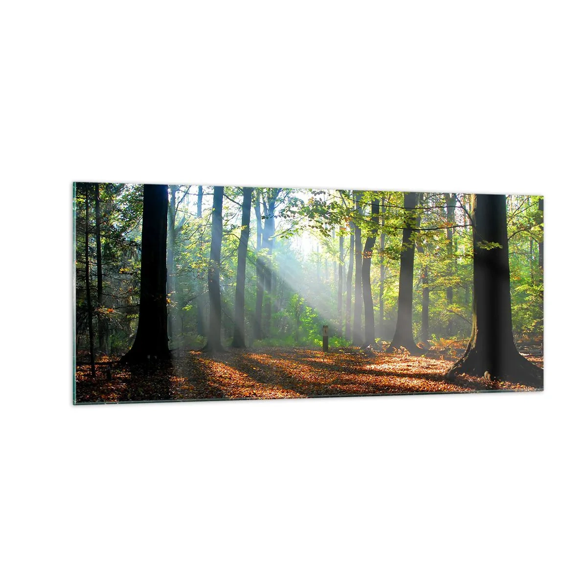 Billede på glas - Lys og skygger - 100x40 cm