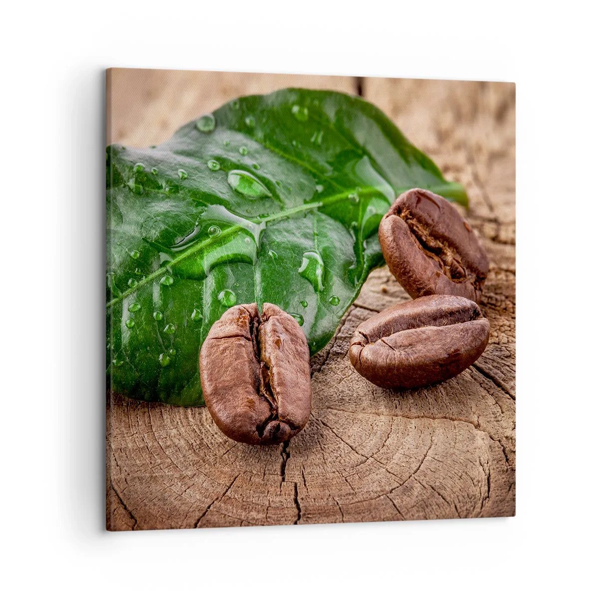 Lærredstryk - Billede på lærred - Den sandeste og sorteste - 50x50 cm