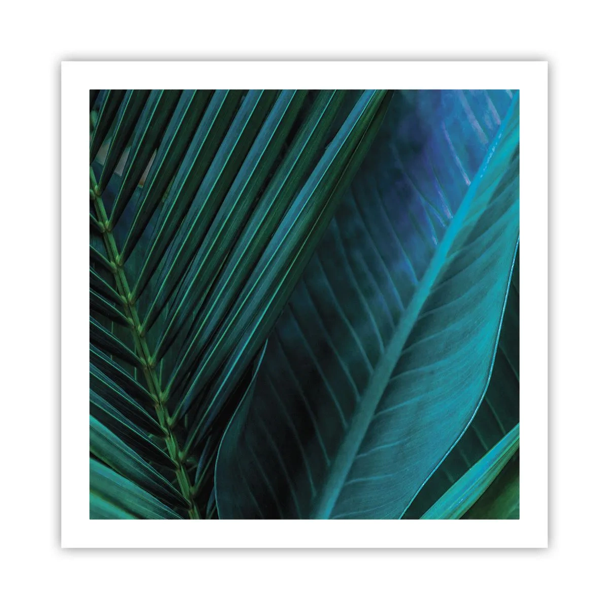 Plakat - Anatomi af en grøn - 60x60 cm