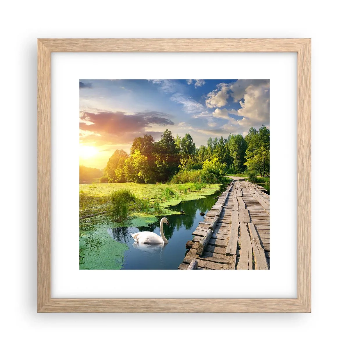 Plakat i ramme af lyst egetræ - Sommer, sommer overalt - 30x30 cm